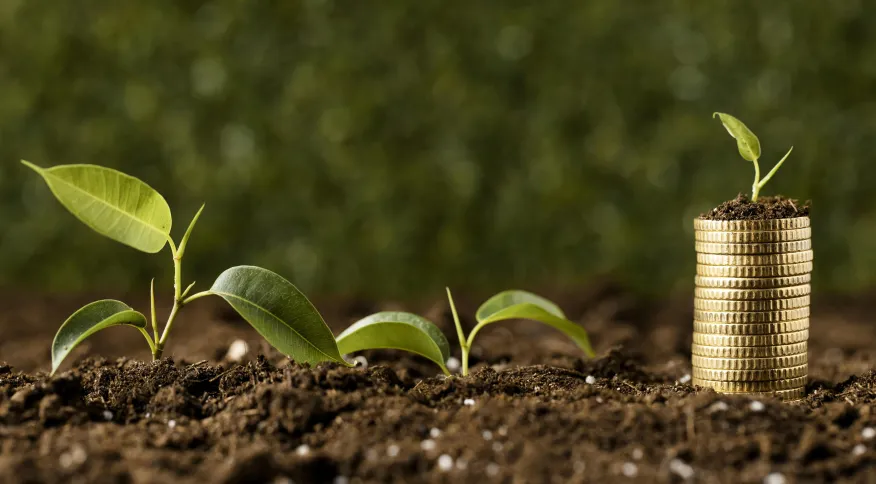 BNDES vai liberar R$ 38,4 bilhões para safra 2023/24