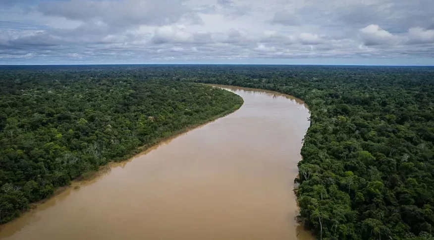 Projeto levará conteúdo sobre a Amazônia para escolas