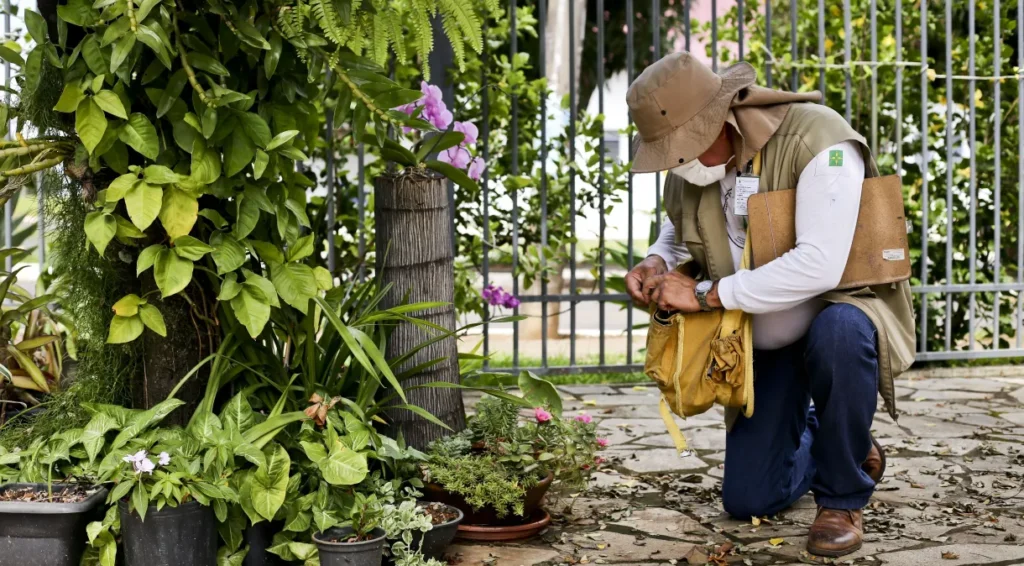 Exército vai ajudar estados e municípios no combate à dengue