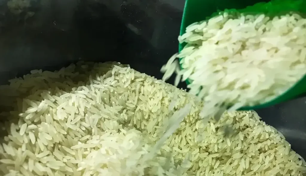 Justiça Federal dá 24 horas para governo explicar leilão para compra de arroz