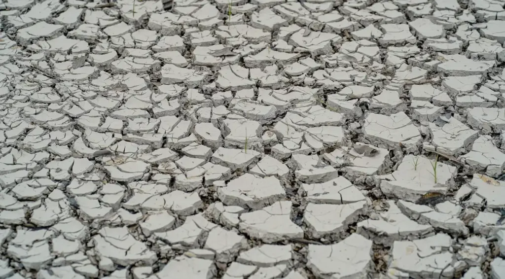 Estiagem no Amazonas vira preocupação para o TSE